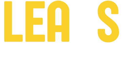 Leads Mídias Digitais